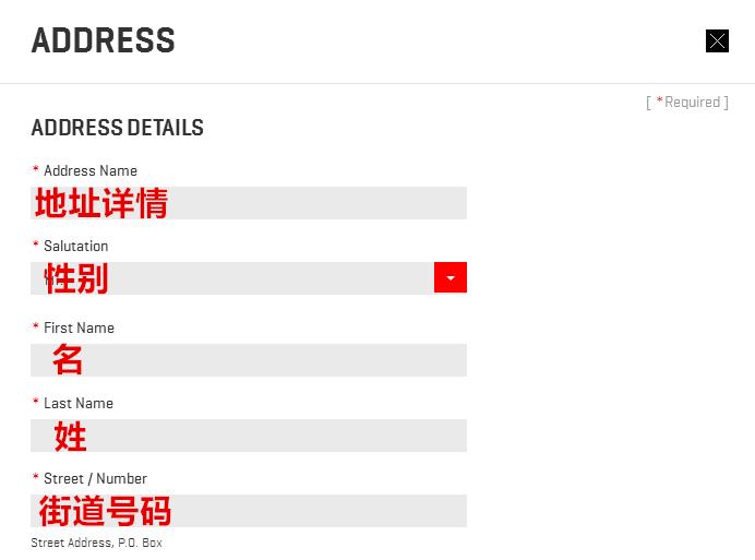 PUMA彪马美国官网填写地址信息